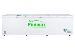 Tủ đông Pinimax 1300 lít PNM 139AF