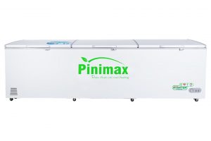 Tủ đông Pinimax Inverter 1300 lít PNM139AF3