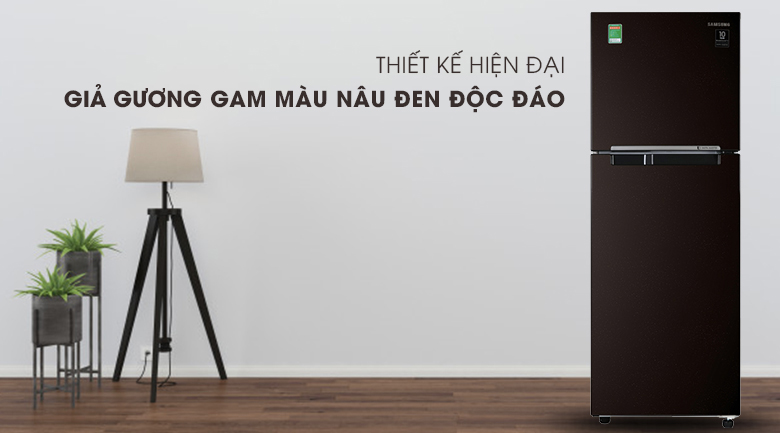 Tủ lạnh Samsung Inverter 236 lít RT22M4032BY