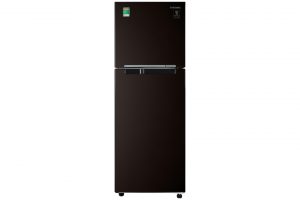 Tu Lanh Samsung Inverter 236 Lit Rt22m4032by