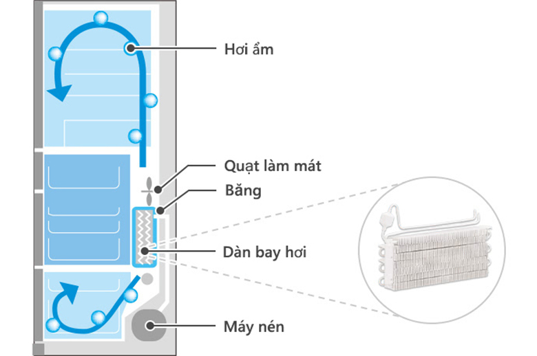 Tủ lạnh Hitachi Inverter 615 lít R-WX620KV XK