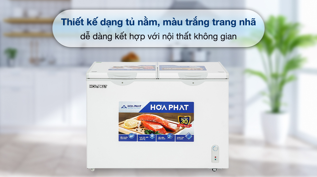 Tủ đông Hòa Phát 245 Lít HPF BD6245 - Thiết kế